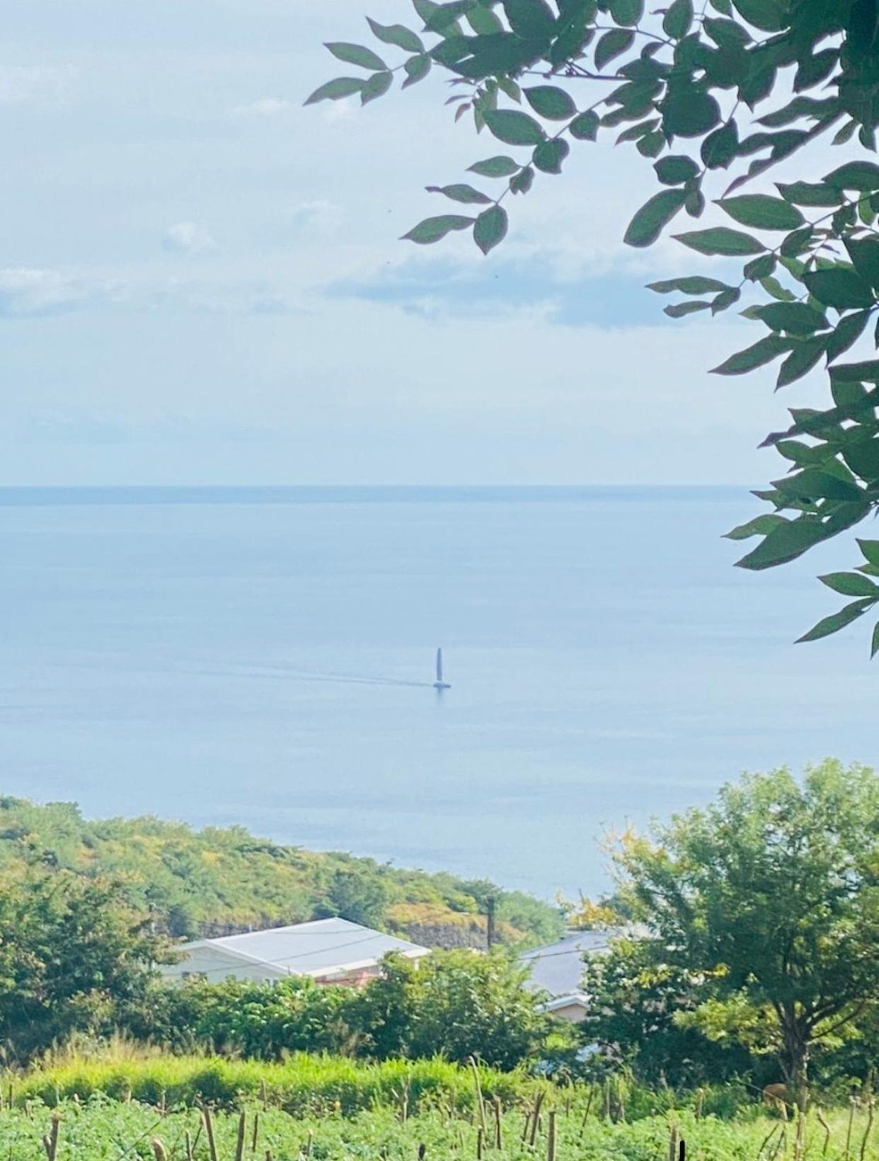 Bas De Villa Vacances Ocean Le Carbet Dış mekan fotoğraf